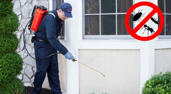 Tekirdağ Dezenfeksiyon böcek ilaçlama ve haşere kontrolü — ilaclama-tr.com